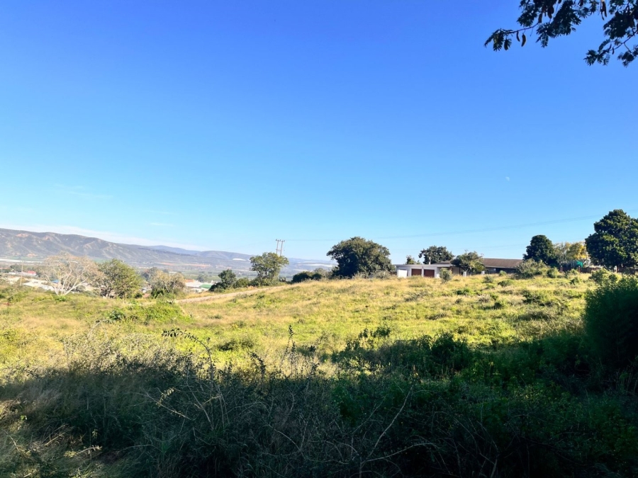 Commercial Property for Sale in Patensie Eastern Cape
